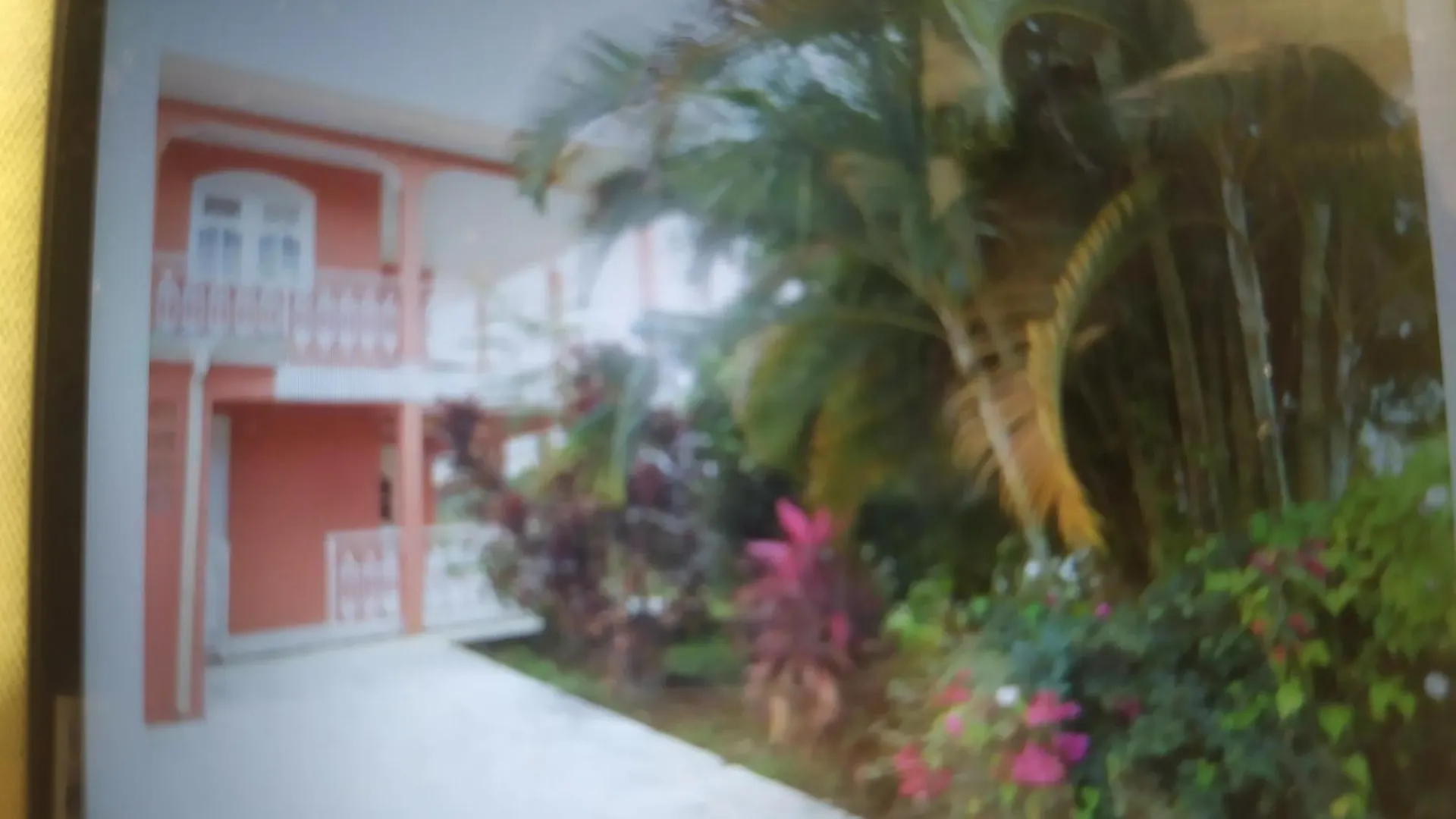 Magnifique Appartement 15 Minutes De Fort De France Saint-Joseph マルティニーク